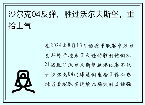 沙尔克04反弹，胜过沃尔夫斯堡，重拾士气